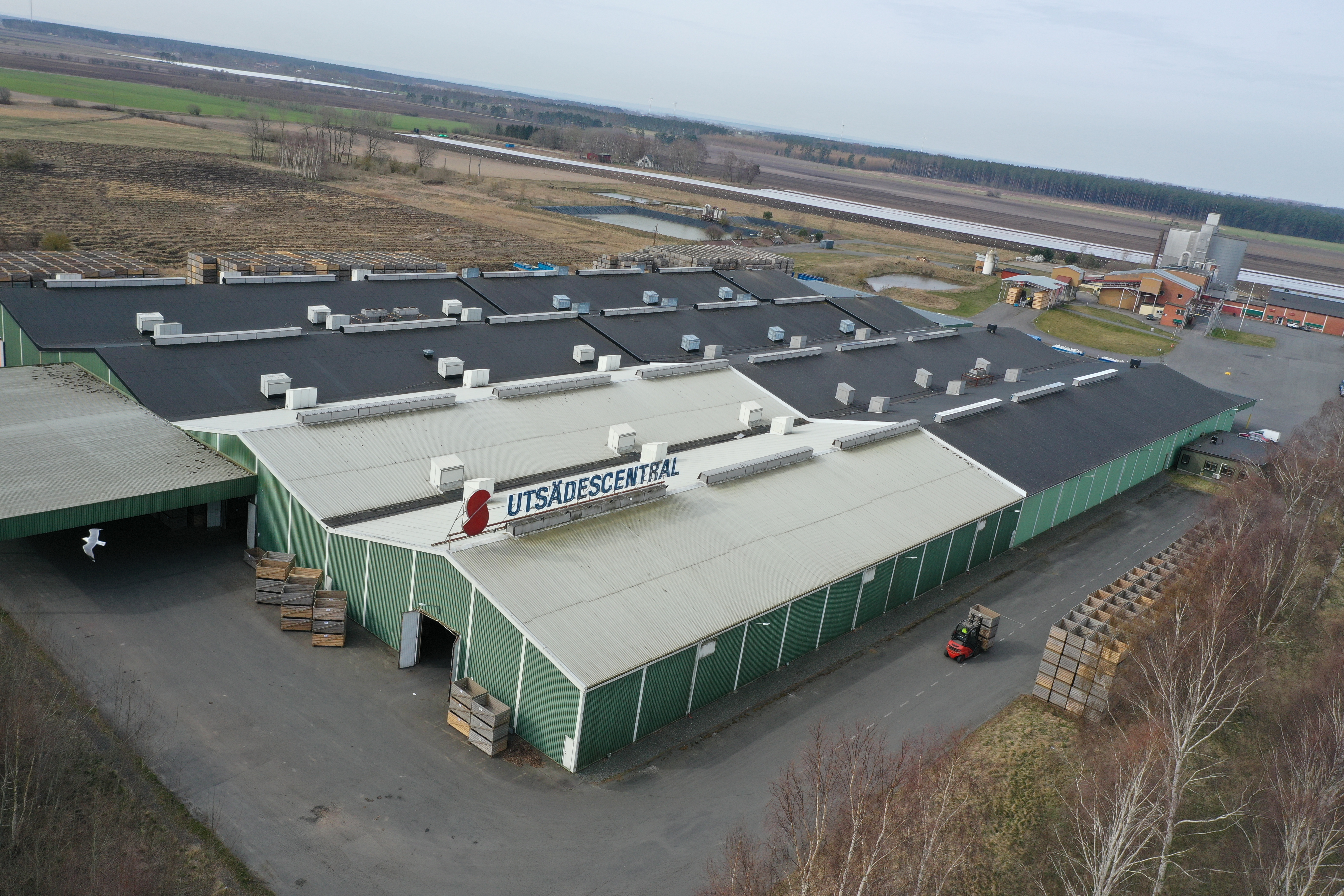 Utsädesförsäljning 10 december 08:00